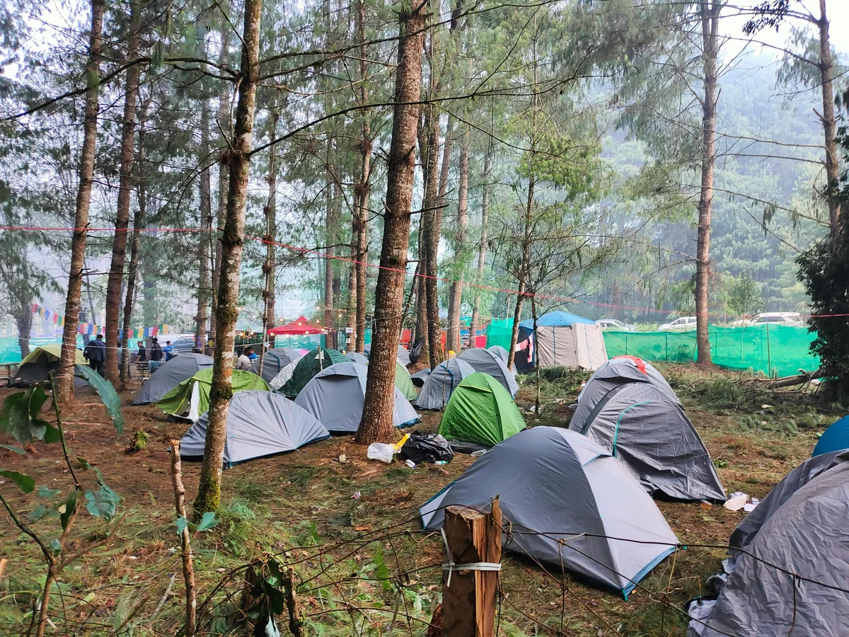 Camping Brăzești Apuseni terrace